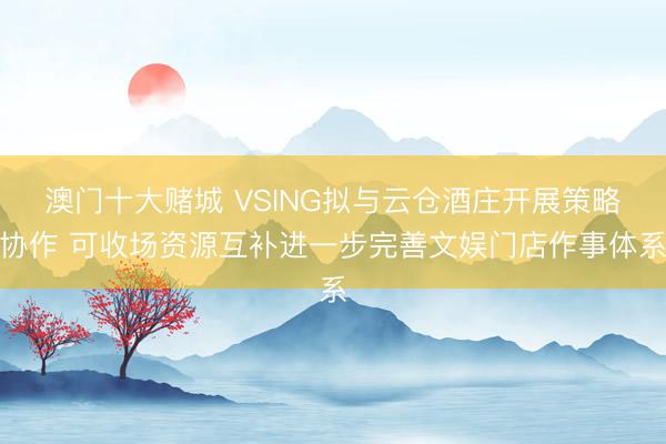 澳门十大赌城 VSING拟与云仓酒庄开展策略协作 可收场资源互补进一步完善文娱门店作事体系