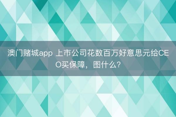 澳门赌城app 上市公司花数百万好意思元给CEO买保障，图什么？