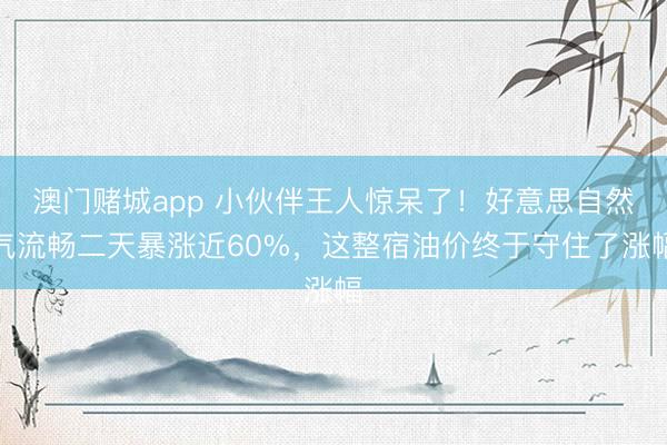澳门赌城app 小伙伴王人惊呆了!好意思自然气流畅二天暴涨近60%,这整宿油价终于守住了涨幅