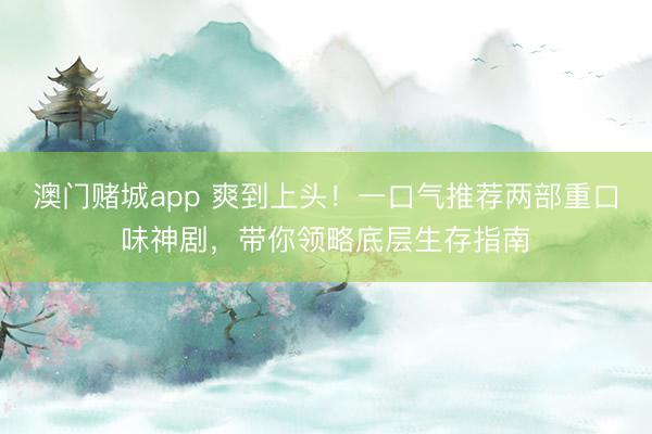 澳门赌城app 爽到上头！一口气推荐两部重口味神剧，带你领略底层生存指南