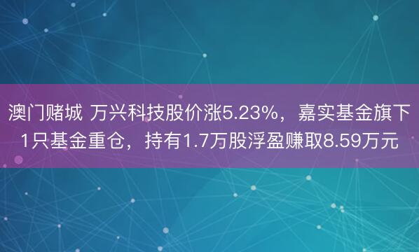 澳门赌城 万兴科技股价涨5.23%，嘉实基金旗下1只基金重仓，持有1.7万股浮盈赚取8.59万元