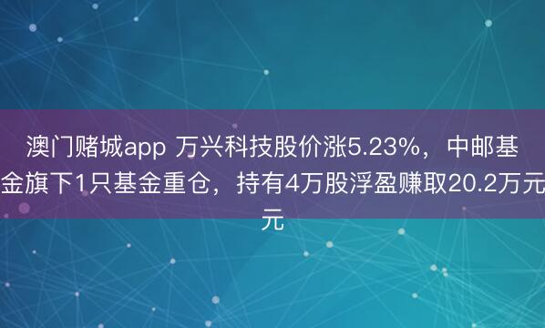 澳门赌城app 万兴科技股价涨5.23%，中邮基金旗下1只基金重仓，持有4万股浮盈赚取20.2万元