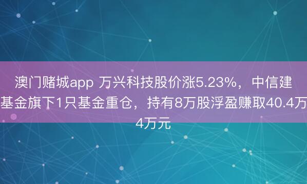 澳门赌城app 万兴科技股价涨5.23%,中信建投基金旗下1只基金重仓,持有8万股浮盈赚取40.4万元