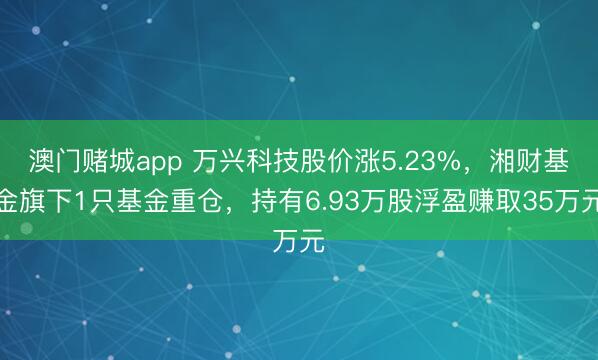 澳门赌城app 万兴科技股价涨5.23%，湘财基金旗下1只基金重仓，持有6.93万股浮盈赚取35万元