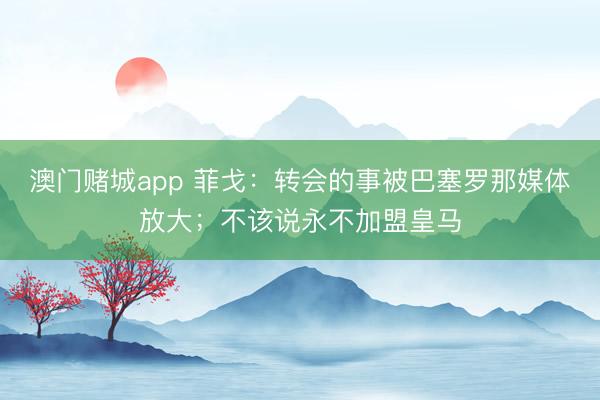 澳门赌城app 菲戈:转会的事被巴塞罗那媒体放大;不该说永不加盟皇马