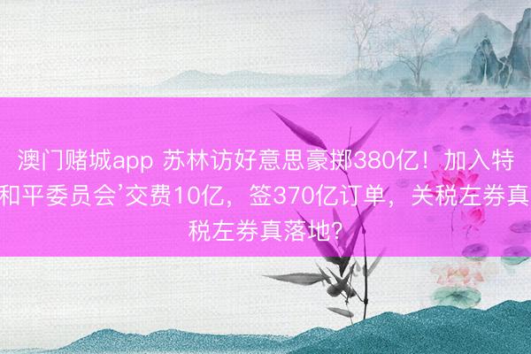 澳门赌城app 苏林访好意思豪掷380亿！加入特朗普‘和平委员会’交费10亿，签370亿订单，关税左券真落地？