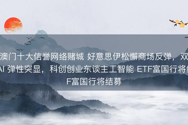 澳门十大信誉网络赌城 好意思伊松懈商场反弹,双创 AI 弹性突显,科创创业东谈主工智能 ETF富国行将结募