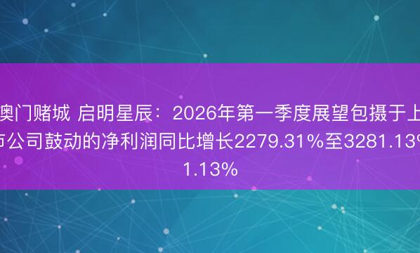 澳门赌城 启明星辰:2026年第一季度展望包摄于上市公司鼓动的净利润同比增长2279.31%至3281.13%