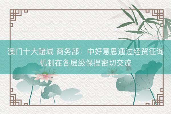 澳门十大赌城 商务部:中好意思通过经贸征询机制在各层级保捏密切交流
