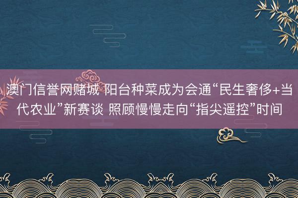 澳门信誉网赌城 阳台种菜成为会通“民生奢侈+当代农业”新赛谈 照顾慢慢走向“指尖遥控”时间