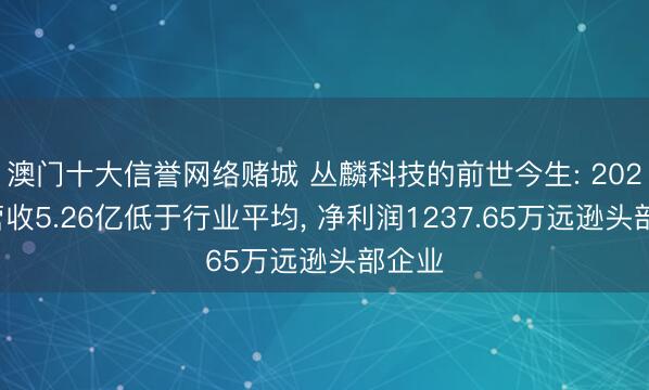 澳门十大信誉网络赌城 丛麟科技的前世今生: 2025年营收5.26亿低于行业平均， 净利润1237.65万远逊头部企业