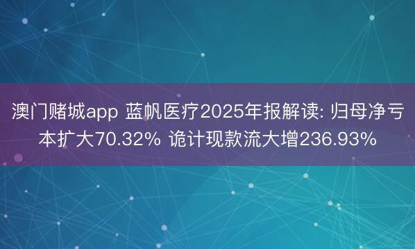 澳门赌城app 蓝帆医疗2025年报解读: 归母净亏本扩大70.32% 诡计现款流大增236.93%