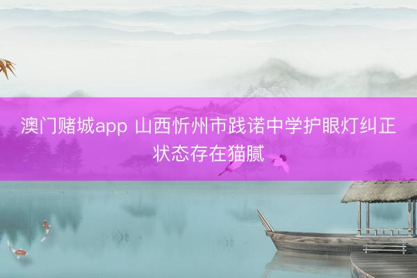 澳门赌城app 山西忻州市践诺中学护眼灯纠正状态存在猫腻